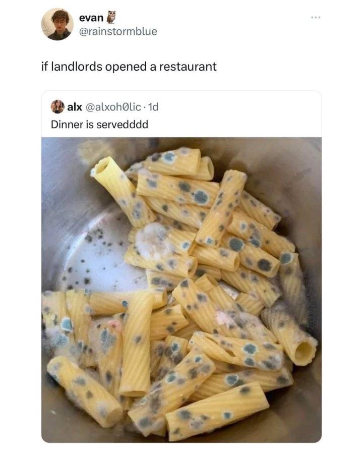 IMG_9863.jpeg