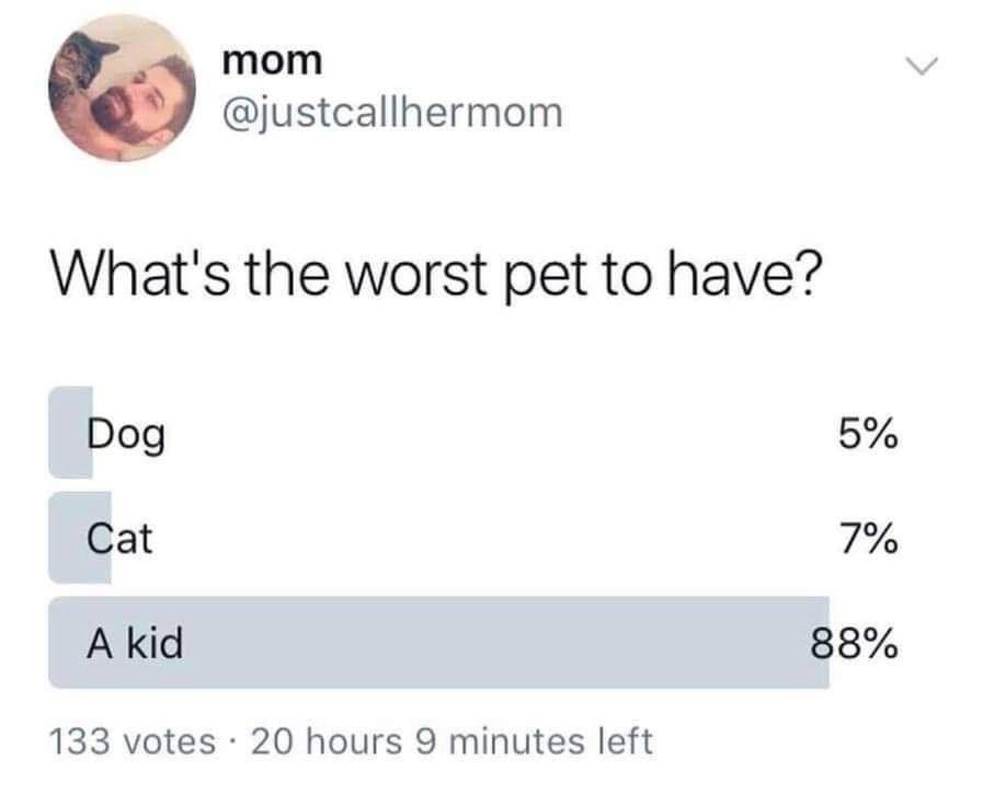 j9Dge96.jpeg