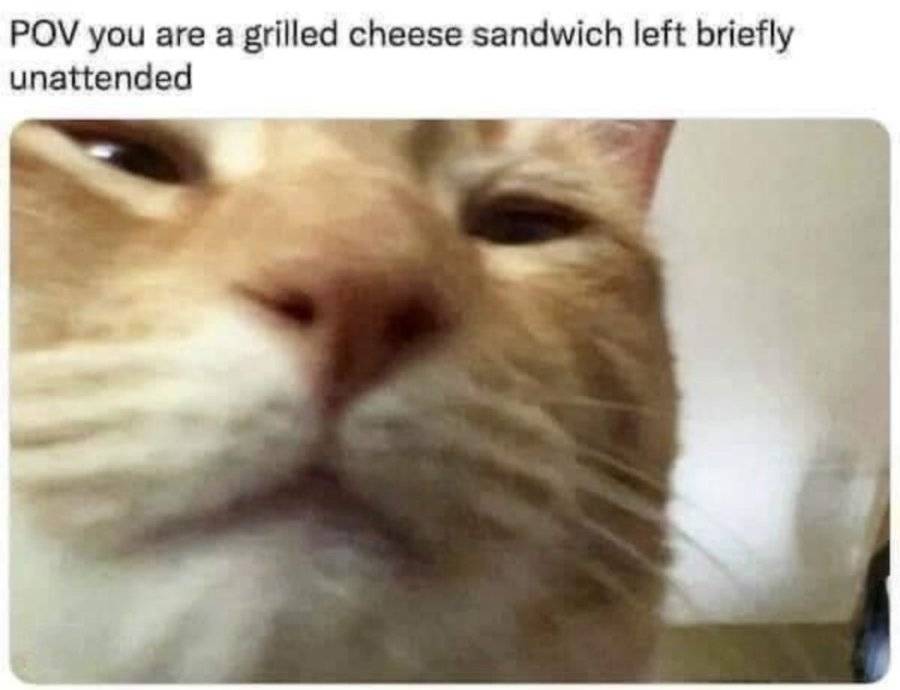 jDLiMV2.jpeg