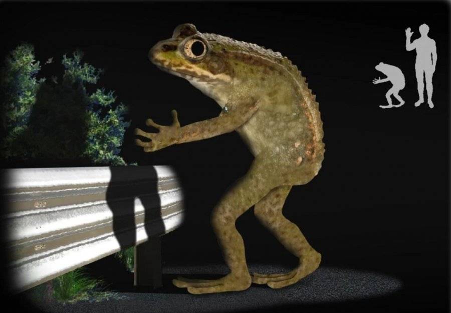 Loveland-Frog-Jan-2020-Loveland-Frog-cryptid-wiki-956px-71kb-Jan-2020-Tetrapod-Zoology.jpeg