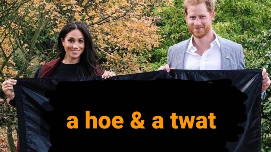 meghan-markle-and-prince-harrys-new-show-is-a-project-their-passionate-about-1617731935.jpg