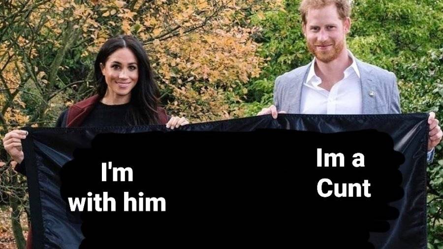 meghan-markle-and-prince-harrys-new-show-is-a-project-their-passionate-about-1617731935.jpg