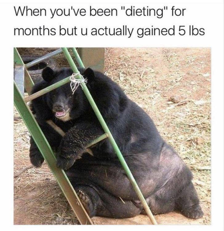 mgspSW5.jpeg