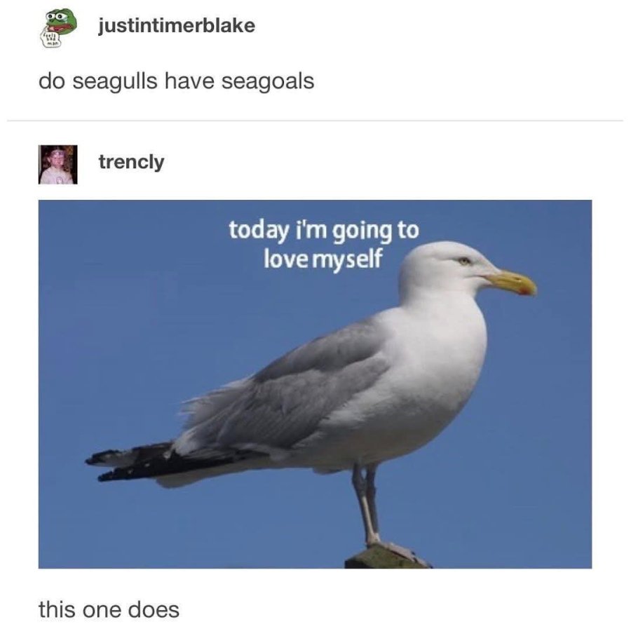 OFwc73e.jpeg