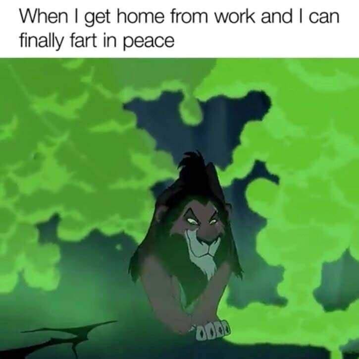 oYGQNAh.jpeg