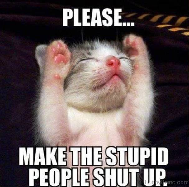 Please-Make-The-Stupid-People-Shut-Up.jpg