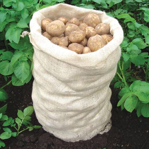 potato-sacks-500x500.jpg