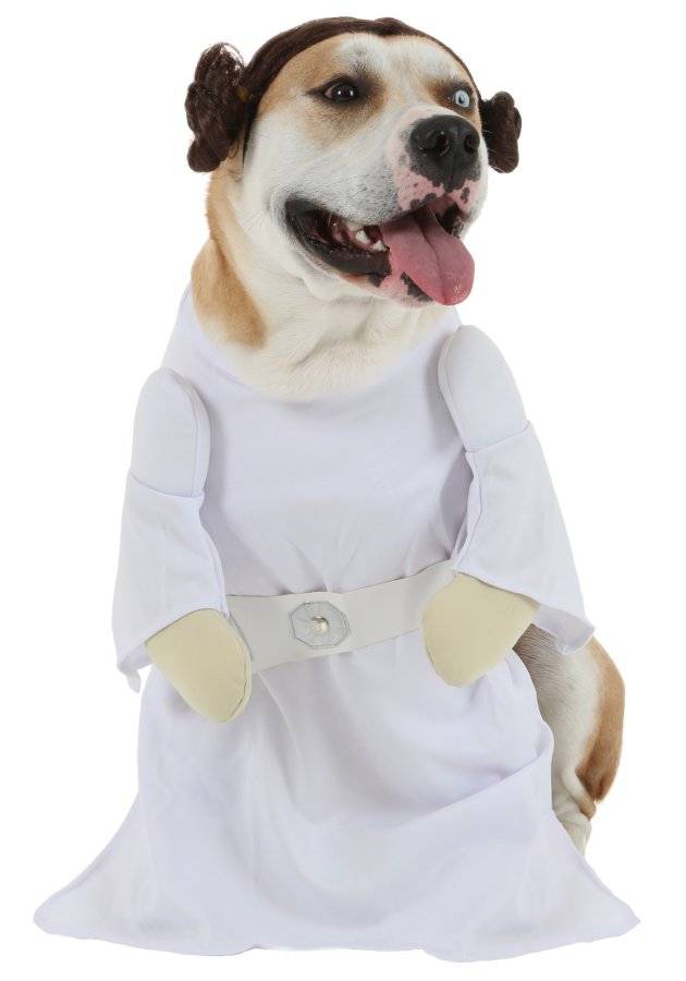 princess-leia-dog-costume.jpg