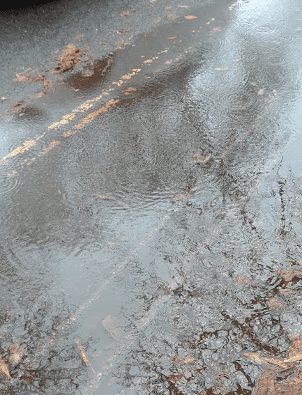 puddle 2.png