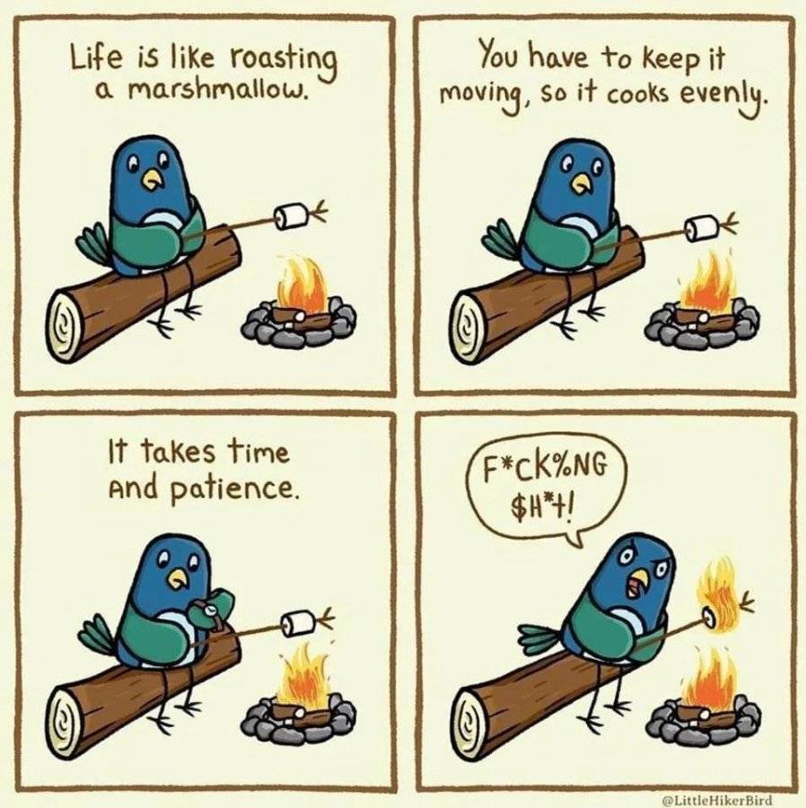 qPMf3yh.jpeg