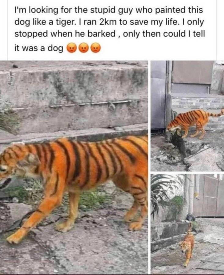 r4WT6Ya.jpeg