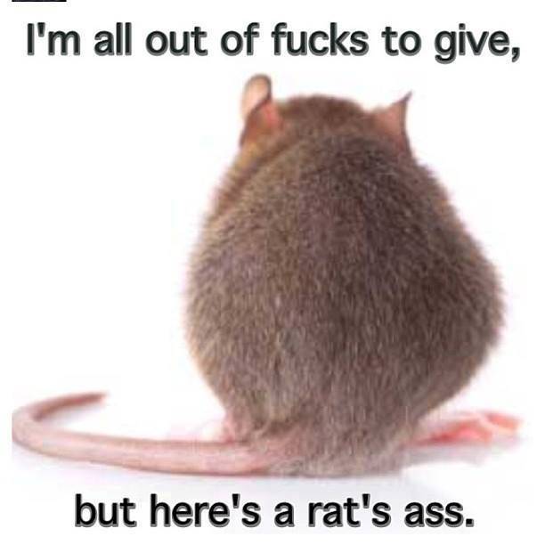 rat's ass.jpg