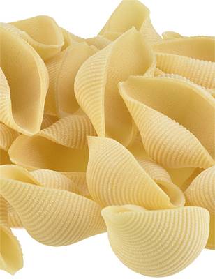 rda-durum-wheat-conchiglioni-pasta-zoom_2978188e77e656fc0cdd0cc7d868fccb.jpg