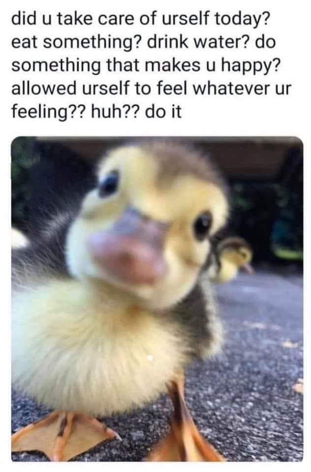 received_667668573776679.jpeg