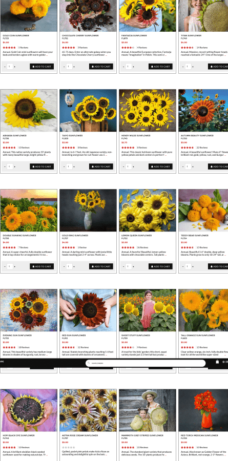 Screenshot 2022-03-19 at 17-43-06 Search results for 'sunflowers'.png