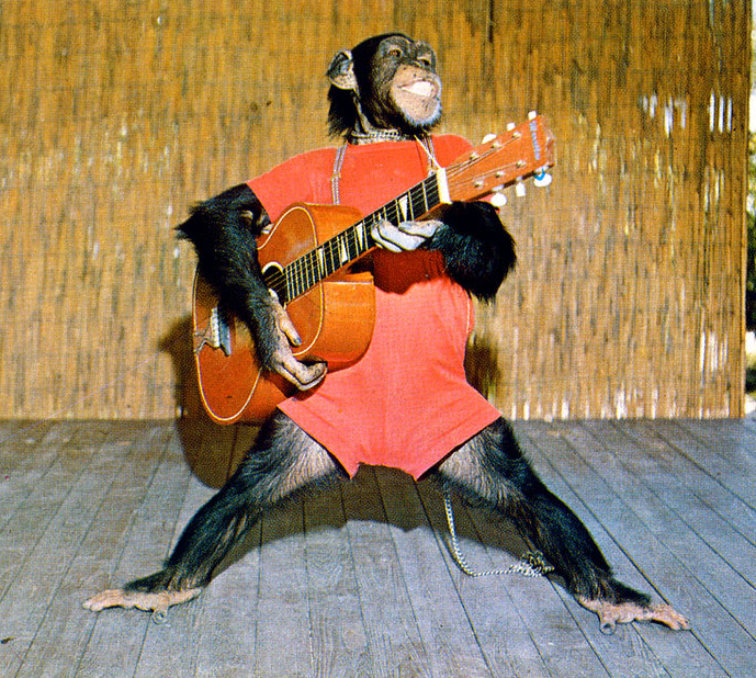Screenshot_2023-03-21 Elvis the Chimp, Monkey Jungle, Florida.png
