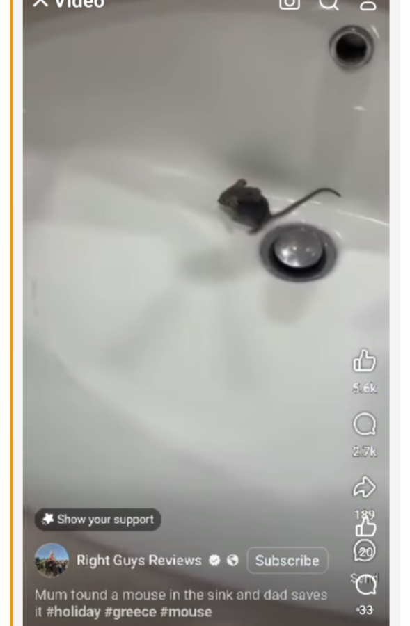 Screenshot_20250327-003437~2.png