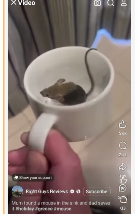 Screenshot_20250327-003445~2.png