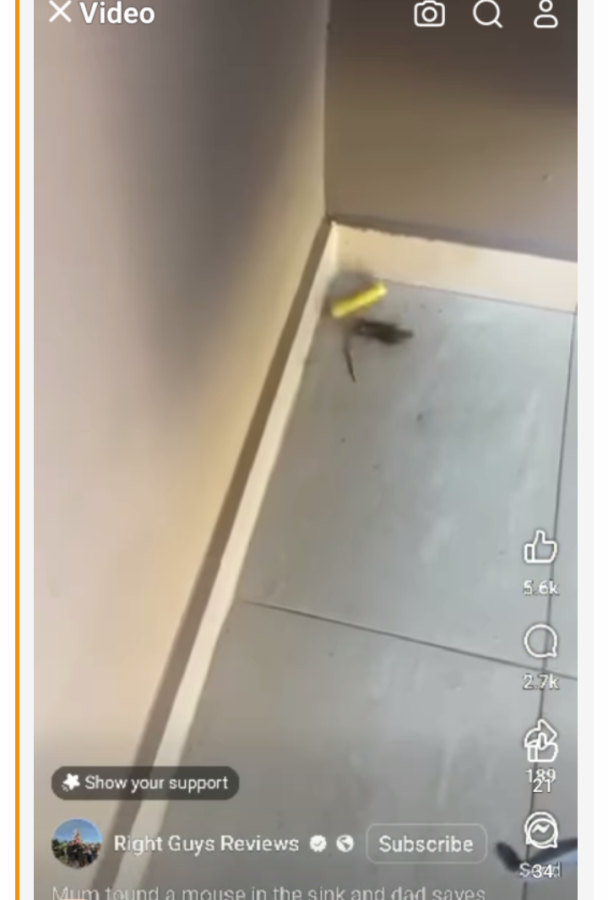 Screenshot_20250327-003518~2.png