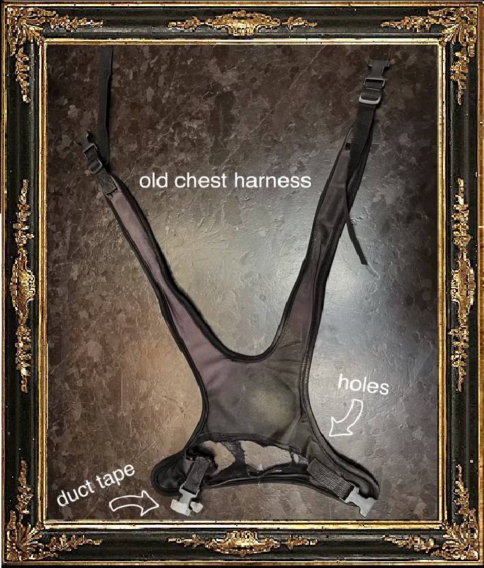 Shane - Framed Harness.jpg