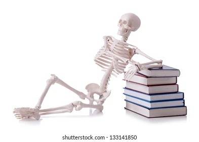 skeleton-reading-books-on-white.jpg