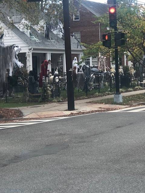skeletons in DC.jpg