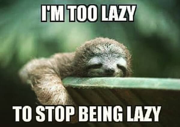 sloth-meme-i-am-too-lazy-to-stop-being-lazy.jpg