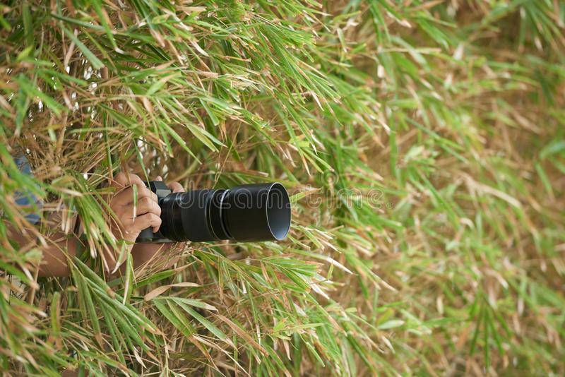 snapping-photos-person-spying-photographing-something-out-bushes-114824568.jpg