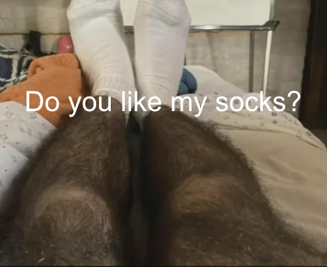 socks.jpg