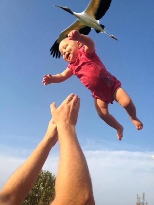 special-delivery-from-the-stork.jpeg.jpg