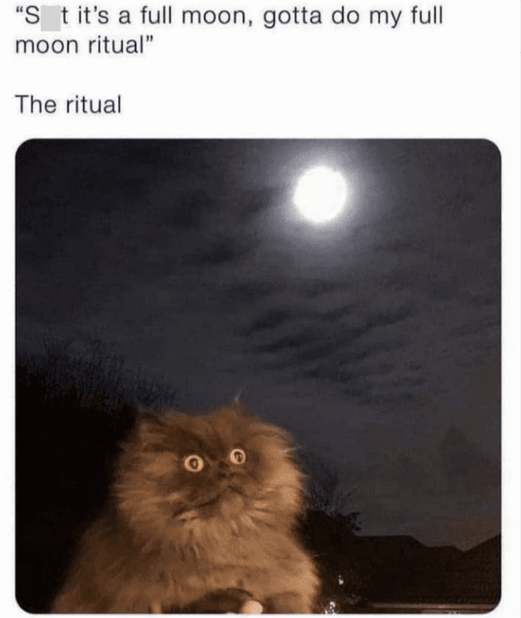 -t-s-full-moon-gotta-do-my-full-moon-ritual-ritual.png
