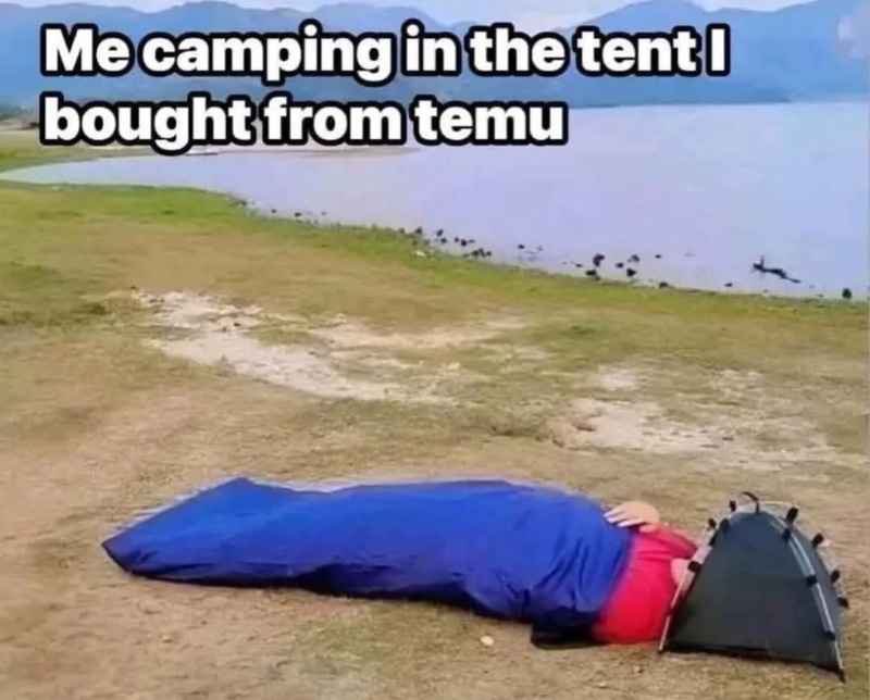 temu.jpeg
