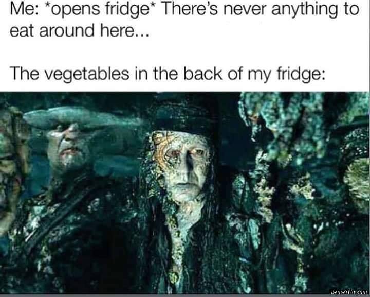 The-vegetables-in-the-back-of-my-fridge-meme-2716.jpg