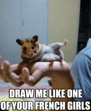 thumb_draw-melike-one-of-your-french-girls-funny-hamster-meme-50007309.png