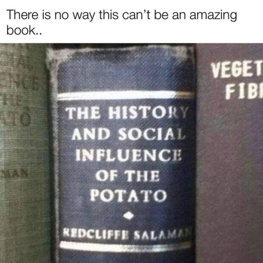 VRSlGWT.jpeg