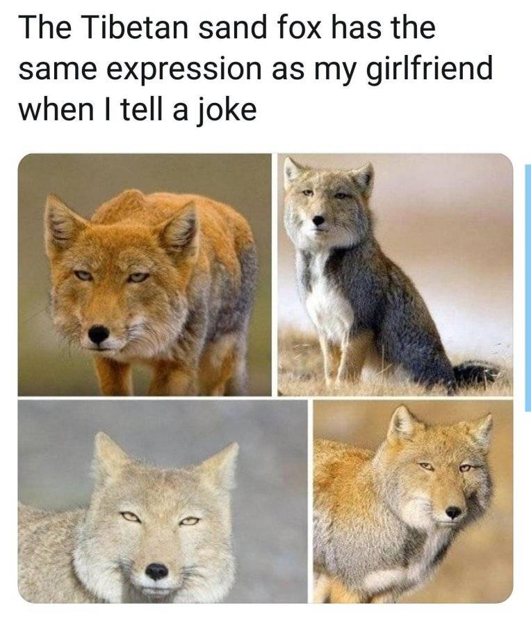 Vt9BEag.jpeg