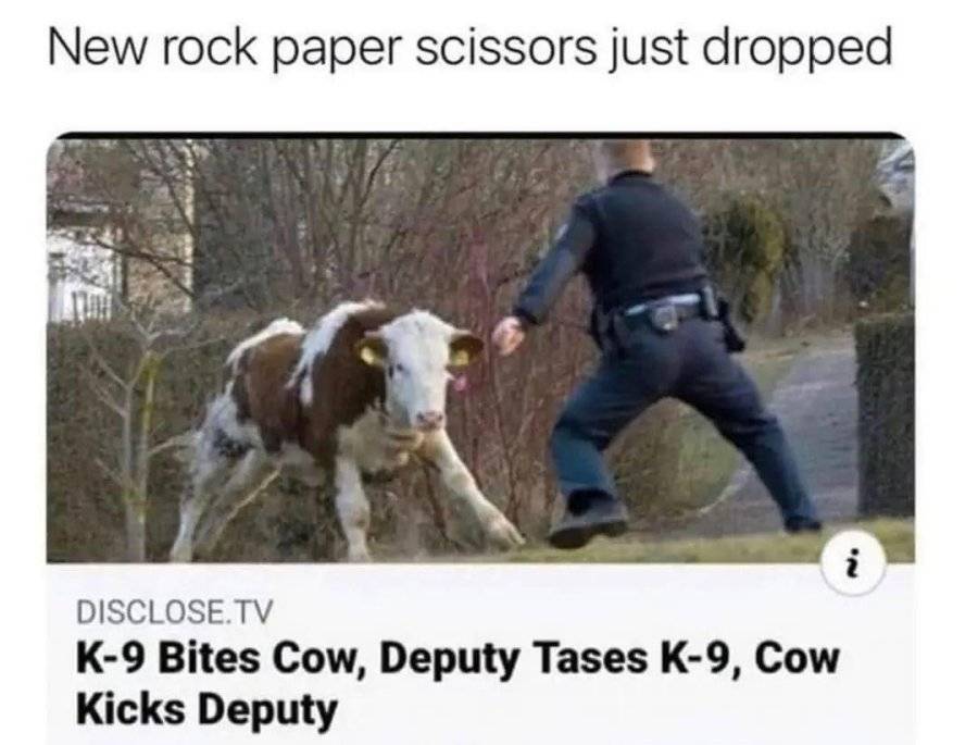 WcHeAdN.jpeg