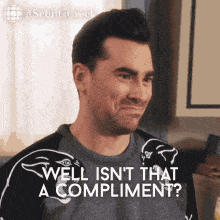 well-isnt-that-a-compliment-david-rose (1).gif