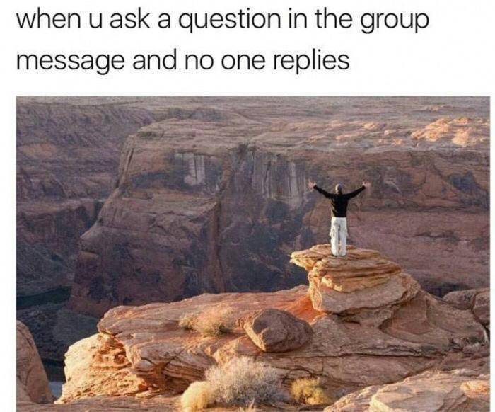 wNZeqGt.jpeg