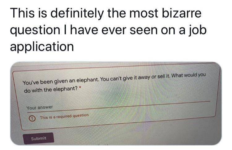 xJRhrvR.jpeg