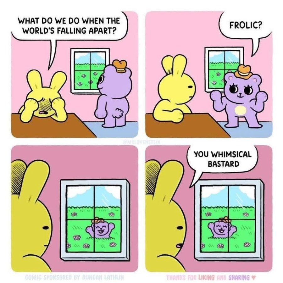 XwKHEKc.jpeg