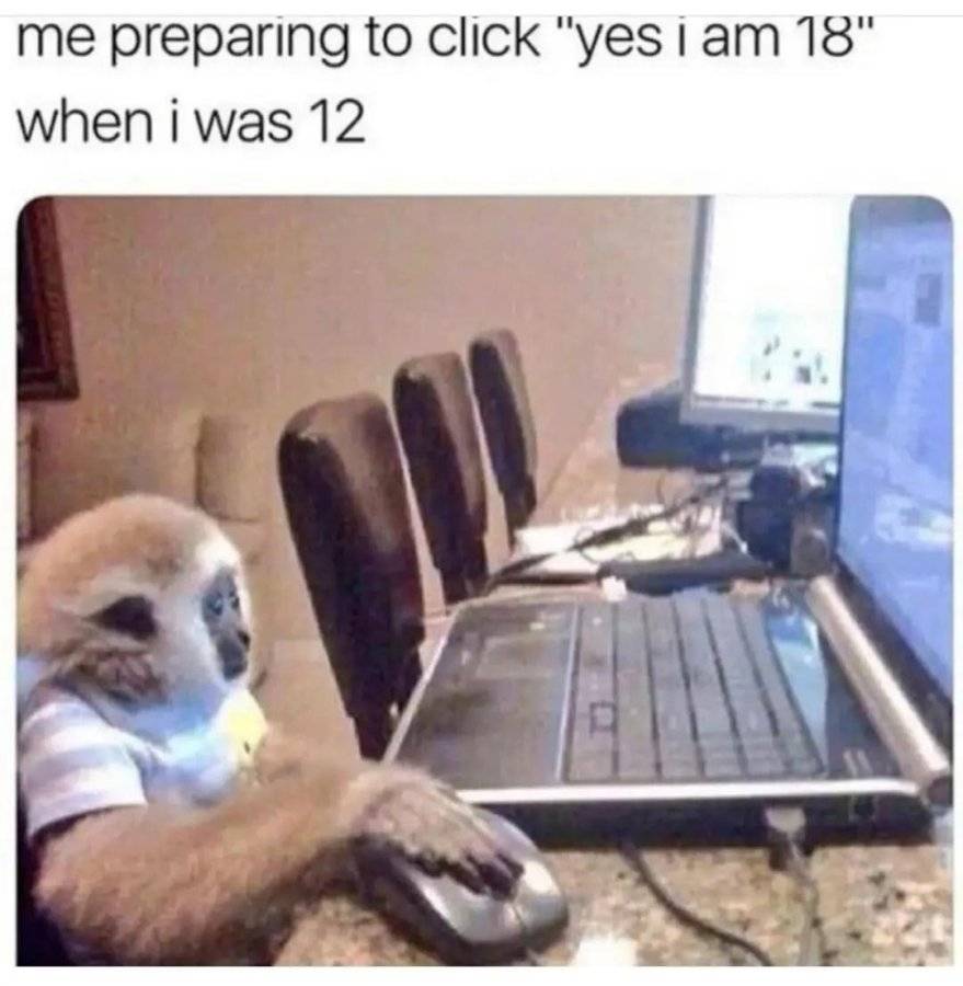 XyVVWxF.jpeg