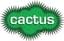 www.cactustv.co.uk