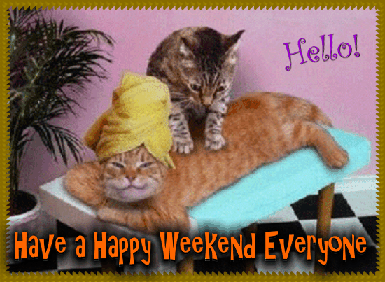 Have A Happy Weekend Everyone! Pictures, Photos, and Images for Facebook,  Tumblr, Pinterest, and Twitter