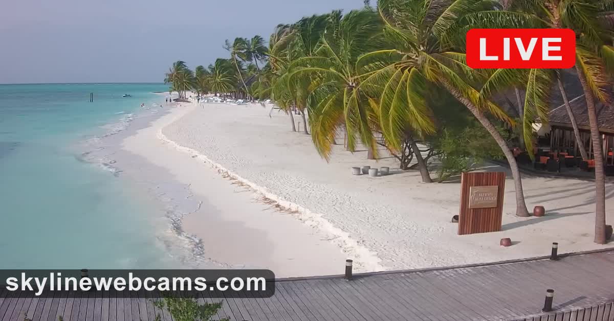 www.skylinewebcams.com