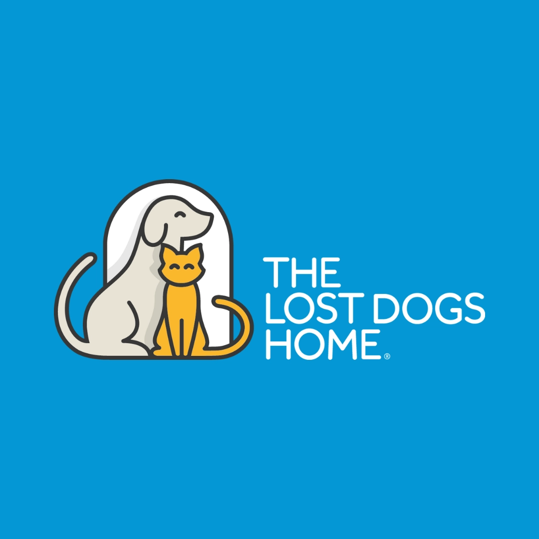dogshome.com