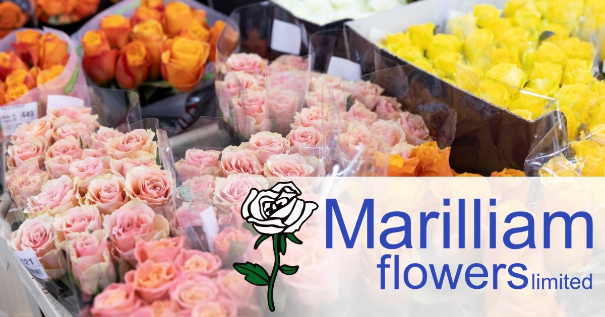 www.marilliamflowers.co.uk