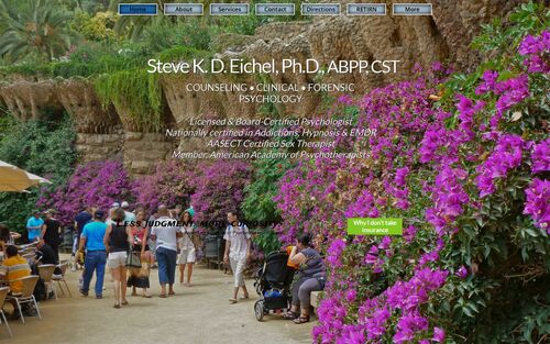 drsteveeichel.com