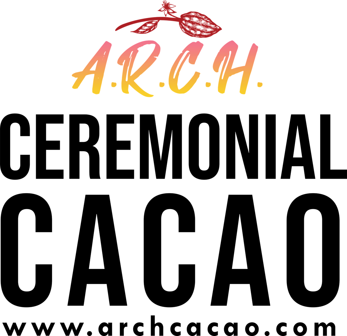 www.archireland.com