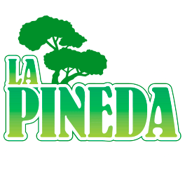 www.campinglapineda.com